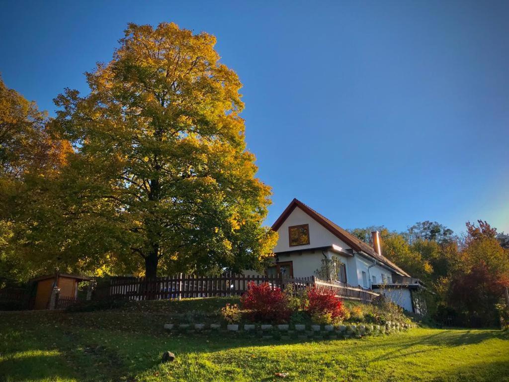Ferienhaus Koller Güssing Εξωτερικό φωτογραφία